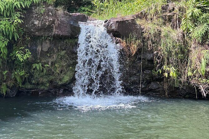 Botanical Tour and waterfall swim at The Cloudforest Bioreserve - The Sum Up