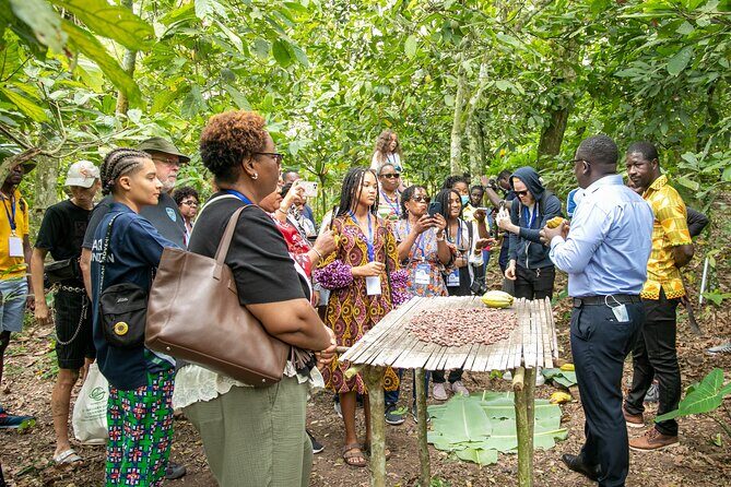 Boti Falls, Botanic Gardens, Cocoa Fam, Umbrella Rock Experience - Final Thoughts