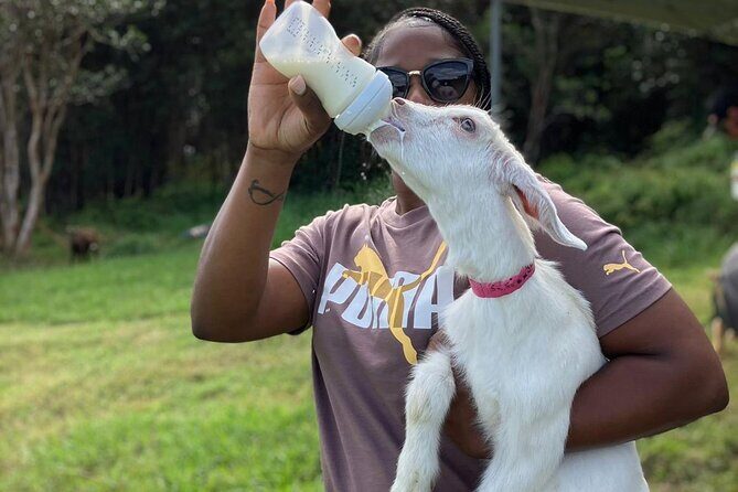 Bottle Feed & Cuddle Baby Goats Tour on Big Island Farm - Who Should Consider This Experience?