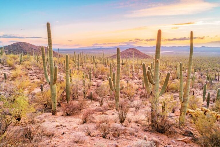 Box Canyon and Pinal Mountains Half-Day ATV Tour - Exploring the Trails: What to Expect and Why It Matters