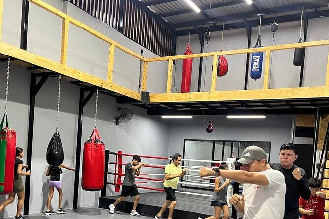 Boxing Puerto Vallarta Experience a day in the ring - The Value of the Experience