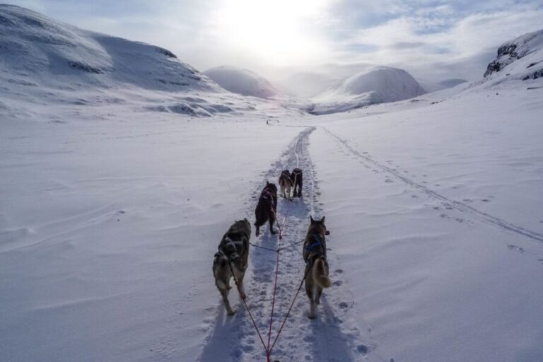Bozeman: 6 Day Yellowstone Winter Wonderland Tour - The Value of the Experience