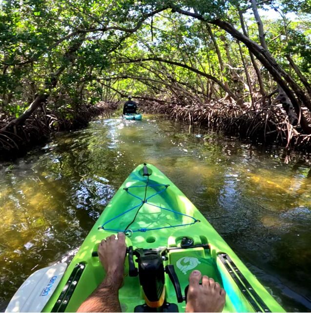 Bradenton: Guided Pedal Kayak Tour - Who This Tour Is Best For