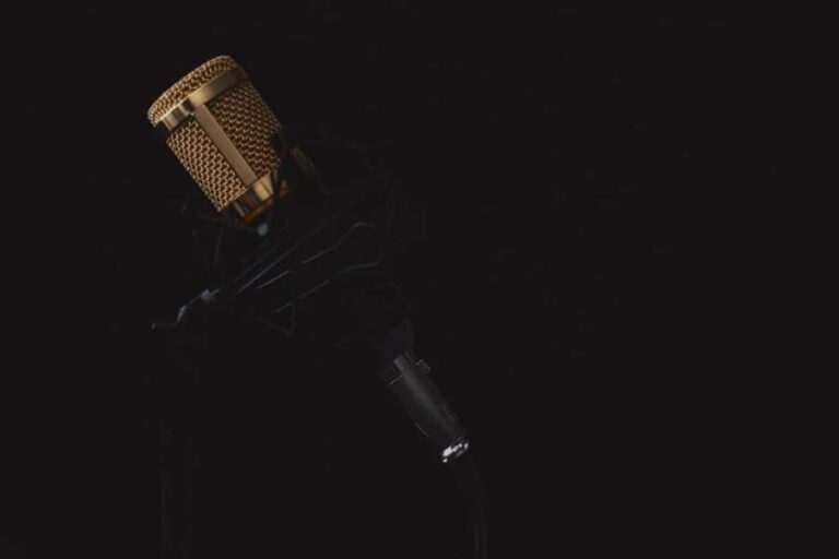 Branson: Best of Dean Martin - Tribute Show - Experience Overview and What You Can Expect