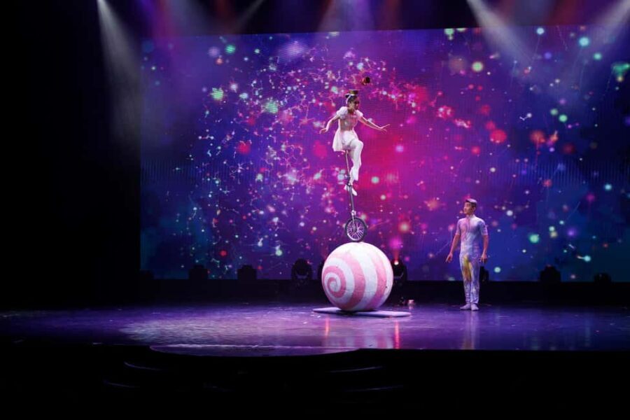 Branson: Grand Shanghai Circus Show Entry Ticket - Who Will Love This Show?