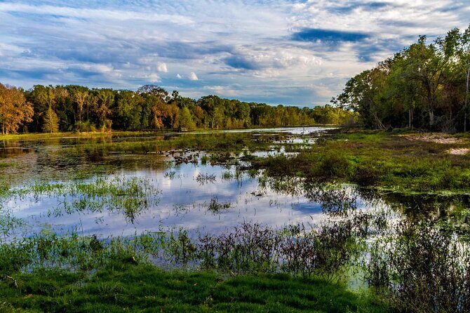 Brazos Bend Wildlife and Nature Tour - Who Should Consider This Tour?
