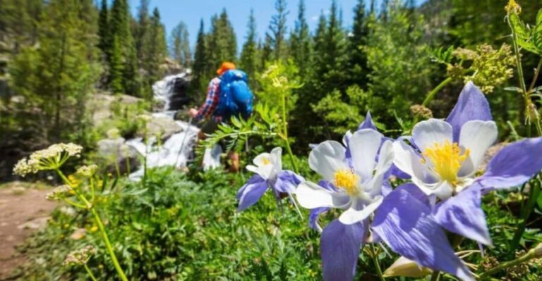 Breckenridge, CO: Half-Day Guided Scenic Hike - Why Guides Make a Difference