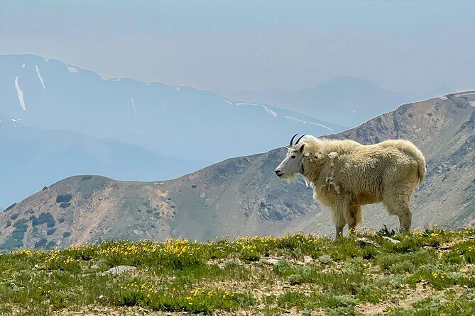 Breckenridge via Hoosier Pass Private Colorado Adventure Tour - Final Thoughts