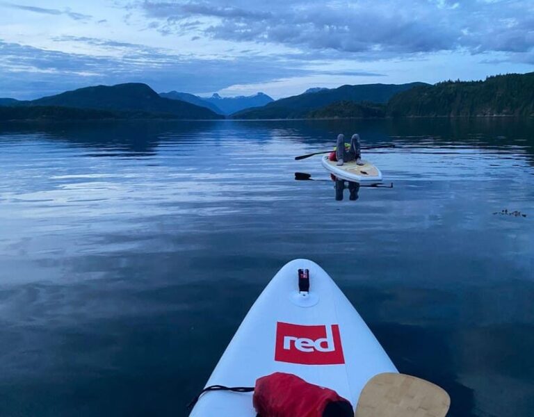 Brentwood Bay: Bioluminescence & Sunset Paddleboard Tour - Who Is This Tour Best For?