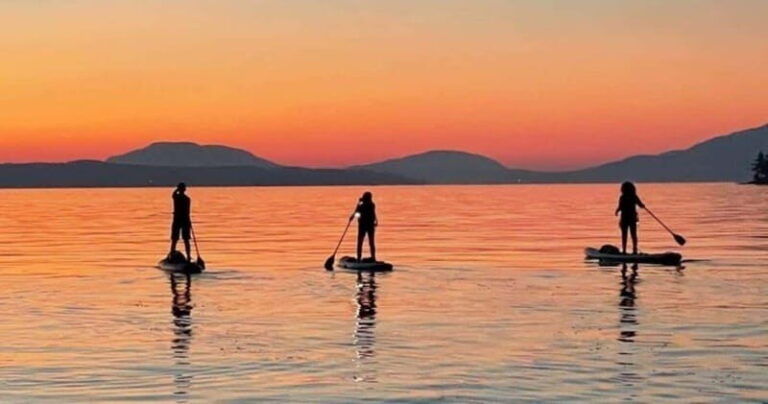 Brentwood Bay: Bioluminescence Tour - What’s Included and What to Consider