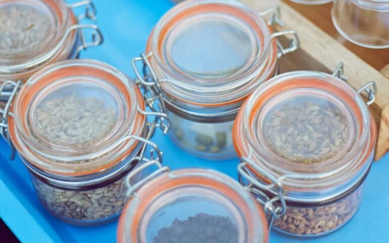 Brewing Beer and Potjiekos Experience Cape Town - Who This Tour Is Best For