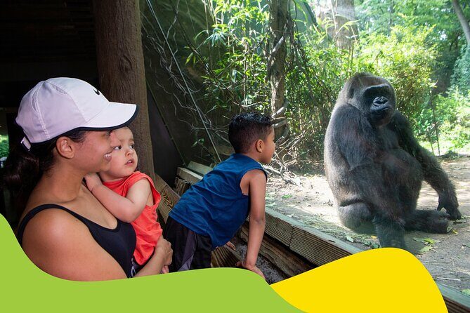 Bronx Zoo Admission Ticket - Exploring the Highlights and Exhibits