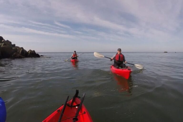 Brookings: Pacific Ocean Kayak Tour - The Wildlife and Scenery