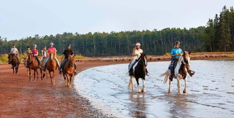 Brudenell: Family-Friendly Horse Ride goes on the Beach - The Ride’s Strengths and Considerations