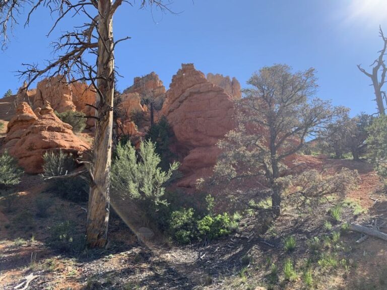 Bryce Canyon City: Horseback Riding Tour in Red Canyon - Practical Details and What to Bring