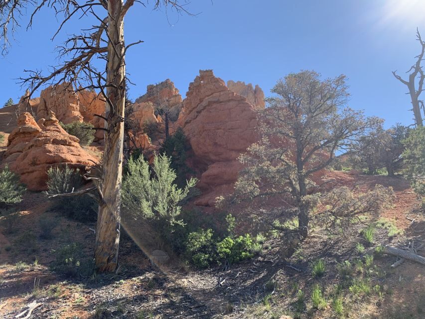 Bryce Canyon City: Horseback Riding Tour in Red Canyon