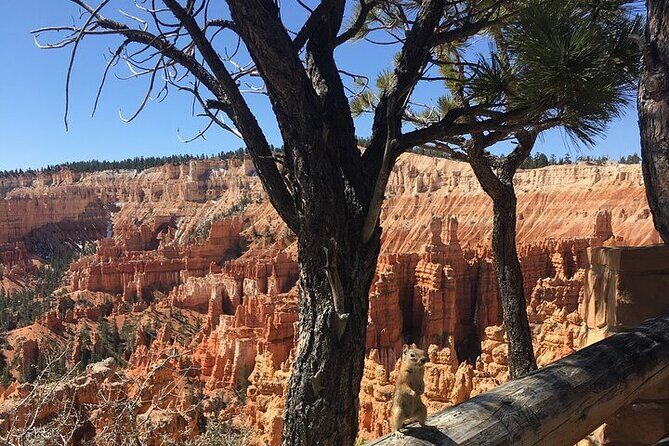 Bryce Canyon Private Tour - Pricing and Value