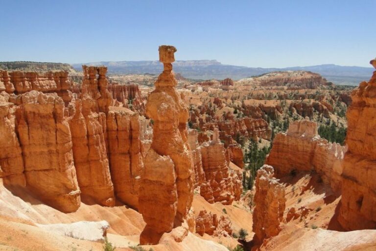 Bryce: Guided Sightseeing Tour of Bryce Canyon National Park - The Value of Guided Insight