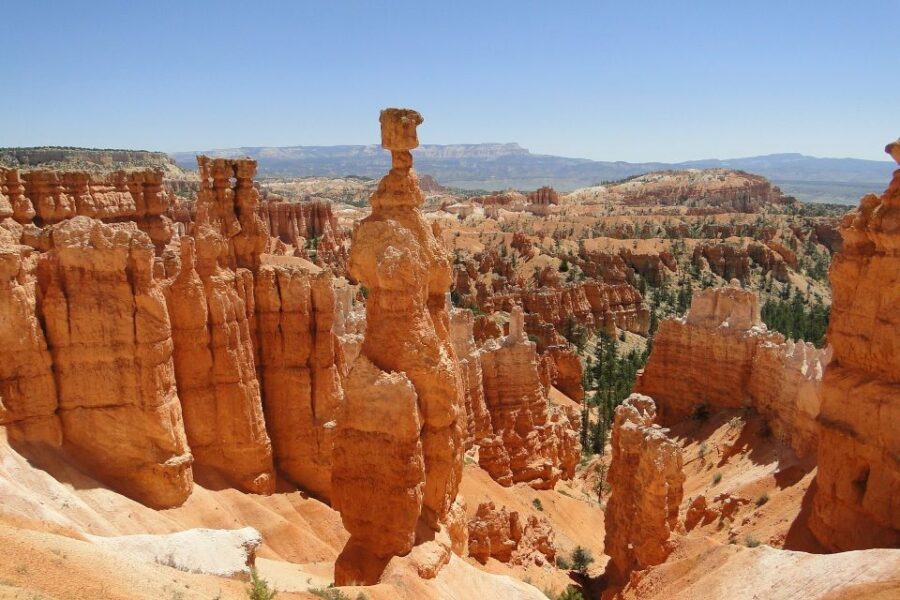Bryce: Guided Sightseeing Tour of Bryce Canyon National Park