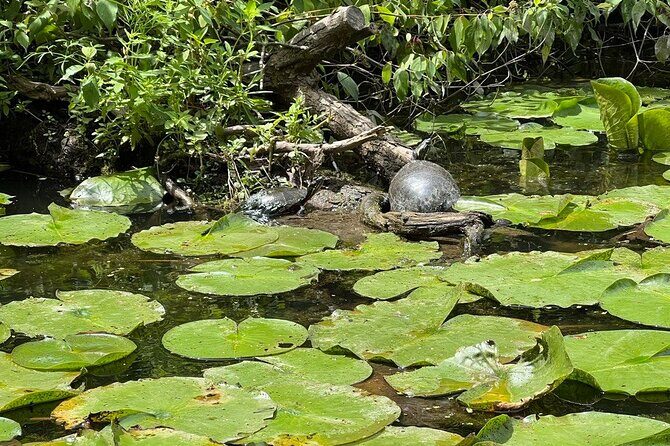 Buckhorn State Park nature hike, kayaking tour, and fishing - The Value and Who It’s For