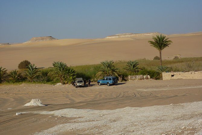 Budget Travel Package to Siwa Oasis from Cairo or Giza - Why the Value Is Clear