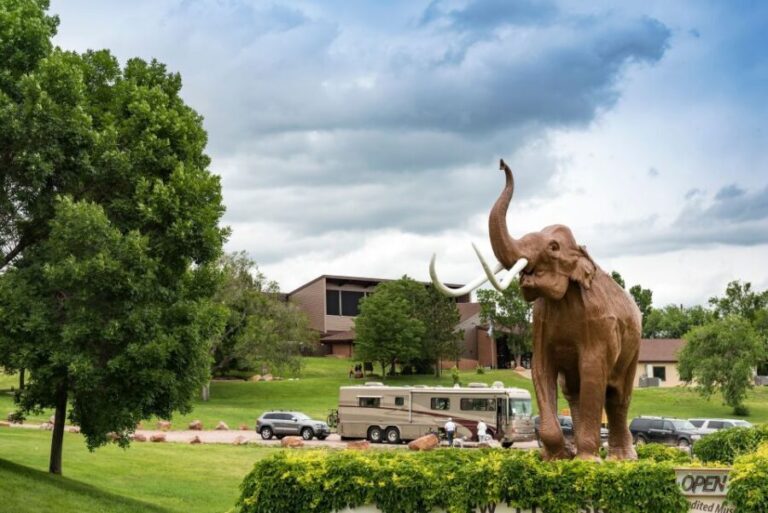 Buffalo Jeep Safari & Mammoth Site Tour - Authentic Experiences and Honest Impressions