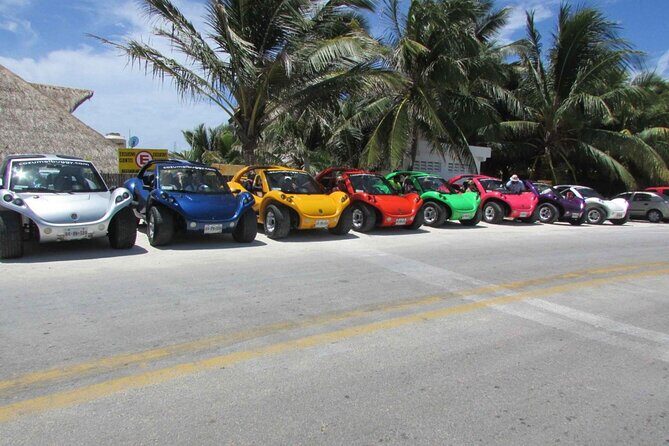 Buggy Adventure in Cozumel + Transportation from Cancún - The Value of This Tour