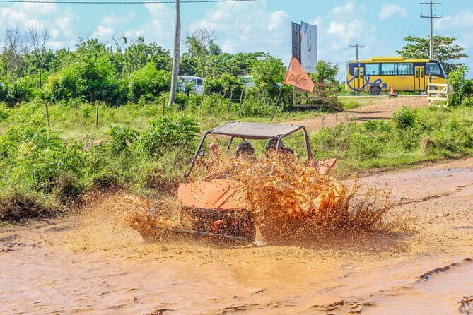 Buggy Punta Cana VIP Tour  Beach, Countryside and Tradition - The Value: What You’re Getting for $35