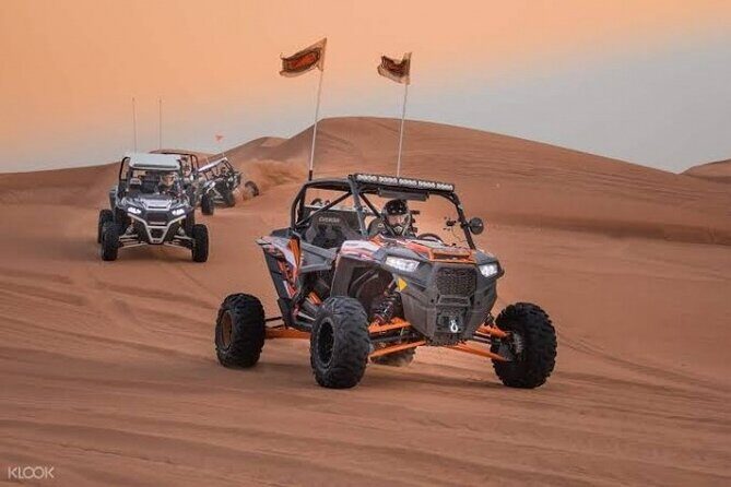 Buggy Ride Dubai & Dubai Desert Safari & Camel Ride with pickup - What Makes This Tour Stand Out?