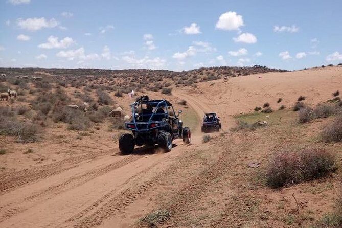 Buggy Tour In Agadir - Why This Tour Offers Real Value