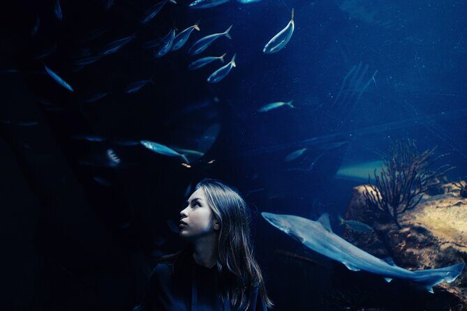 Burj Khalifa and Dubai Aquarium Combo Entrance Ticket - Authentic Traveler Opinions