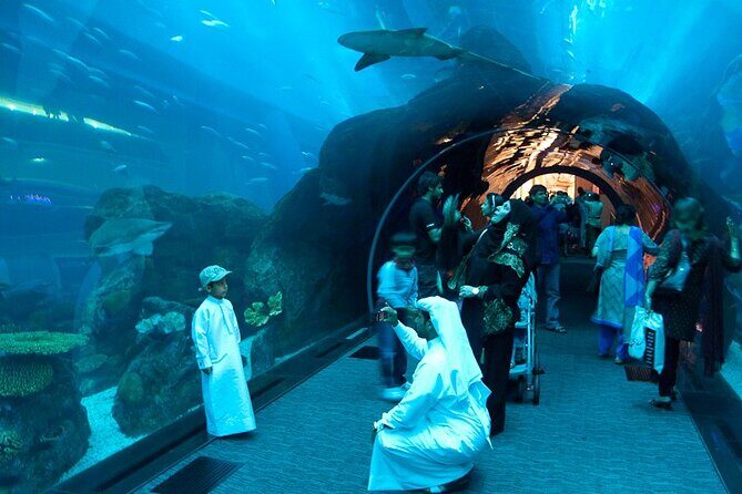 Burj Khalifa and Dubai Aquarium with Penguin Cove Combo - Practical Considerations
