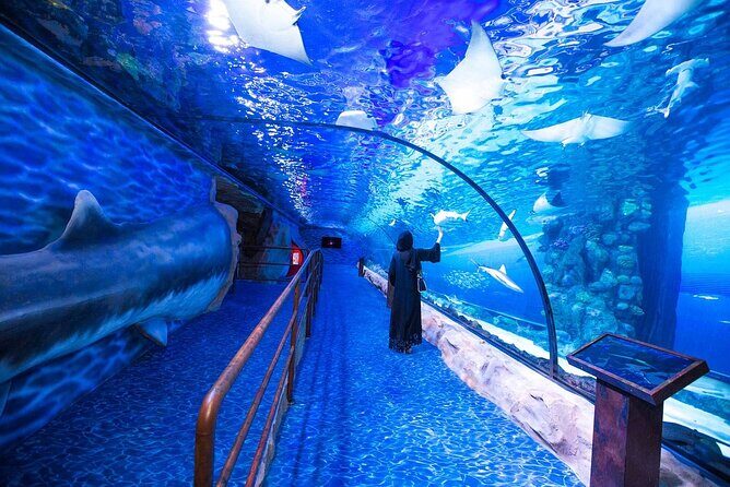 Burj Khalifa, Dubai Aquarium & UWZ with Penguin Cove Tickets - Authentic Insights from Reviews