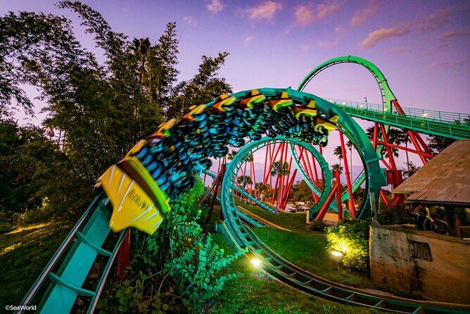 Busch Gardens Tampa Bay Admission Ticket - What the Reviews Say