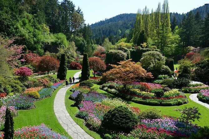 Butchart Gardens Evening Illumination Shuttle - Pricing and Value