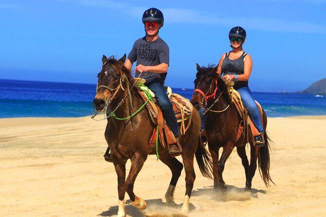 Cabo ATV and Horseback Riding Combo Experience in Migriño - The Final Word