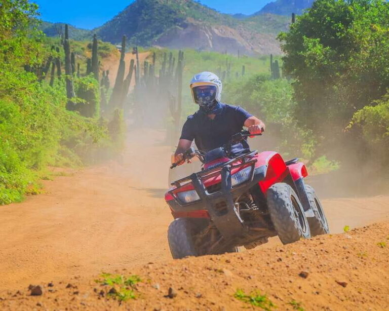 Cabo: Beach & Desert Single ATV Tour with Tequila Tasting - What to Expect: The Full Itinerary