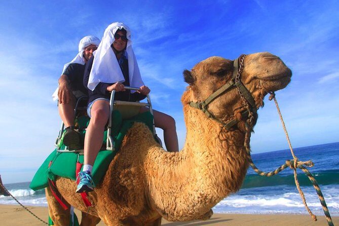 Cabo Camel and Safari Ride - A Step-by-Step Look at the Itinerary
