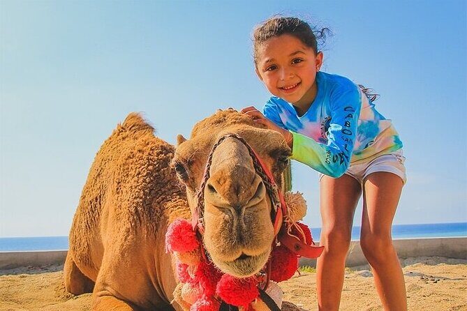 Cabo Camel Ride: Beach Safari, Tequila Tasting & Buffet - The Practicalities