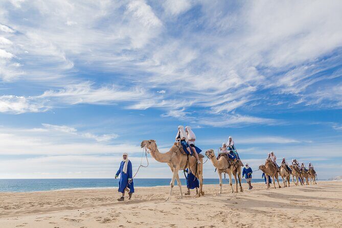 Cabo Camel Ride, Mexican Buffet and Tequila Tasting - Who Is This Tour Best For?