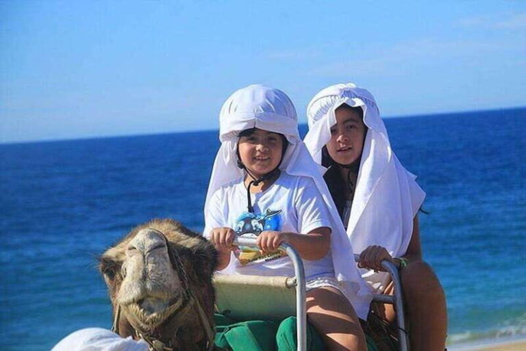 Cabo: Camel Ride On The Beach - Why Camels on the Beach Make Sense
