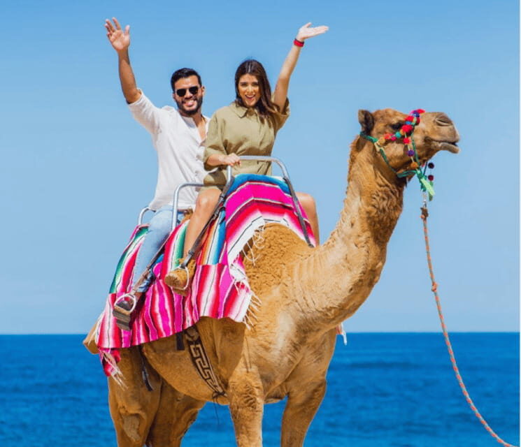 Cabo: Camel Safari Adventure with Tacos - Key Points