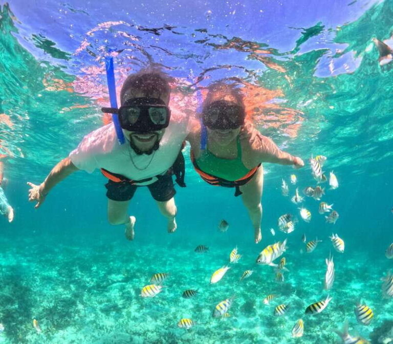 Cabo Catamaran Cruise Arch, Snorkeling, Open Bar & Snacks - Itinerary and Highlights