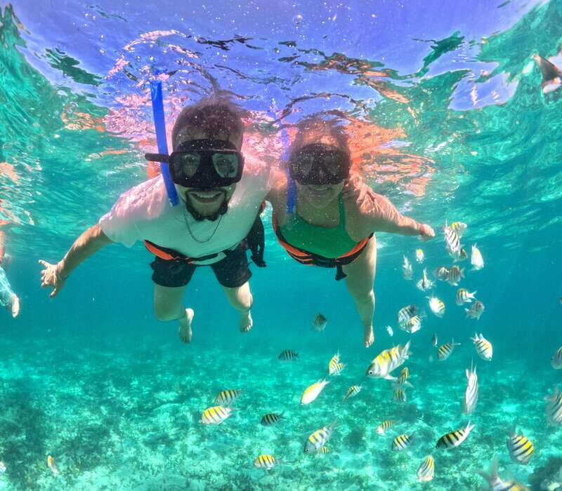 Cabo Catamaran Cruise Arch, Snorkeling, Open Bar & Snacks - Itinerary and Highlights