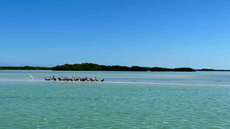 Cabo Catoche Snorkel And Fishing - Who Should Book This Tour?