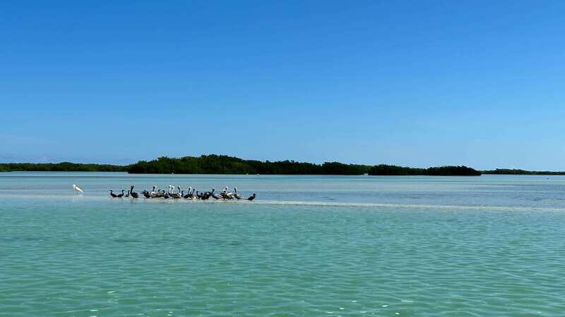Cabo Catoche Snorkel And Fishing - Who Should Book This Tour?