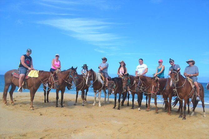Cabo Desert ATV & Beach Horseback Combo enjoy adventure and beauty! - What the Reviews Reveal About the Experience