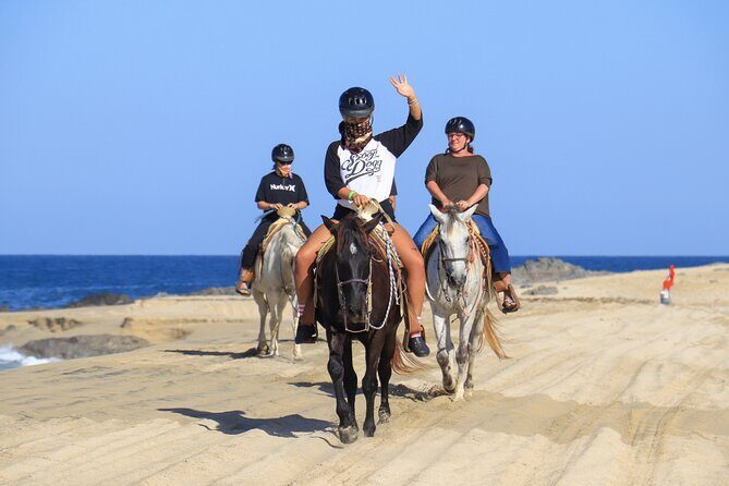 Cabo Horseback Riding on Migriño Beach - What Travelers Say