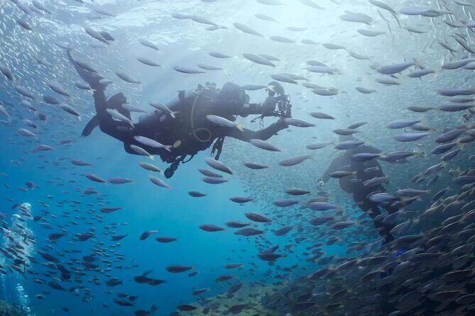 Cabo Pulmo Diving Adventure - What Youll Experience: A Day in Cabo Pulmo