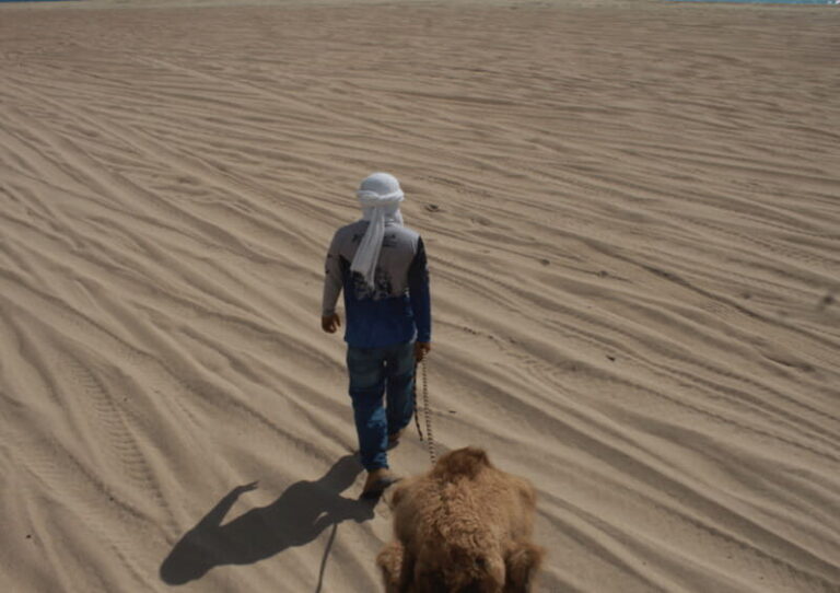 Cabo San Lucas: Amazing Camel Adventure on the Beach - A Close Look at the Tour Itself